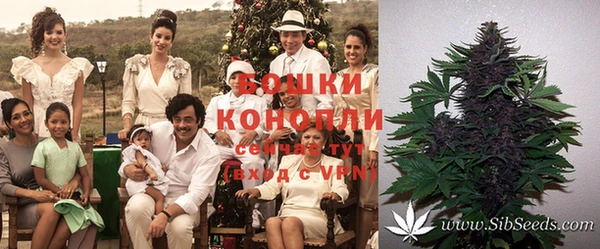 PSILOCYBIN Беломорск