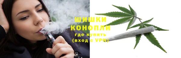 винт Белокуриха