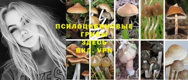 ГАЛЛЮЦИНОГЕННЫЕ ГРИБЫ Белоозёрский