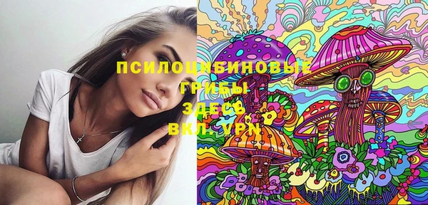 винт Белокуриха