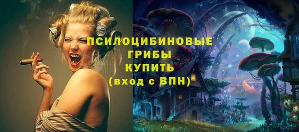 винт Белокуриха