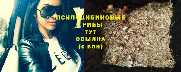 винт Белокуриха