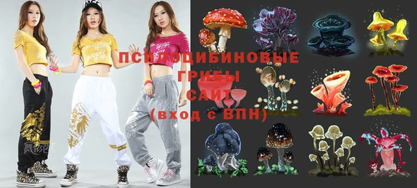 ГАЛЛЮЦИНОГЕННЫЕ ГРИБЫ Белоозёрский