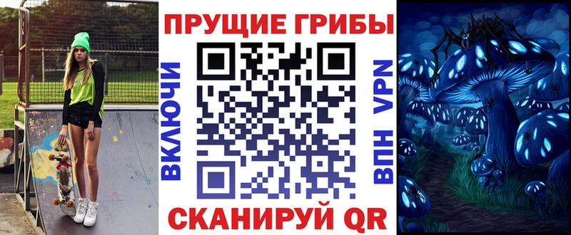 darknet какой сайт  ОМГ ОМГ как зайти  Саранск  закладки  Галлюциногенные грибы Psilocybe 